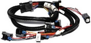 Fuel Injector Harness